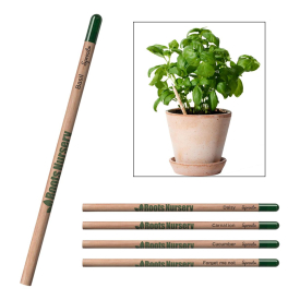 SproutWorld FSC Pencil